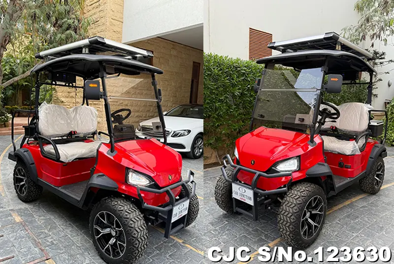 Other / Golf Cart 2024