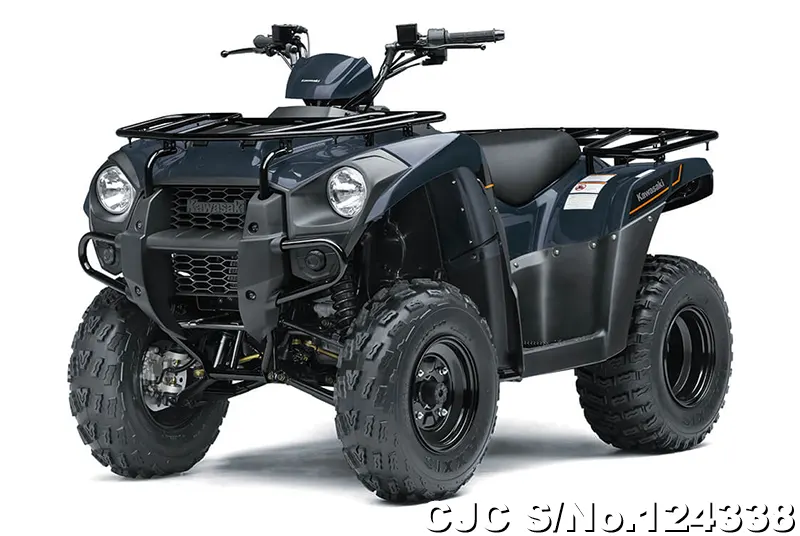 Kawasaki / Brute Force 300 2025