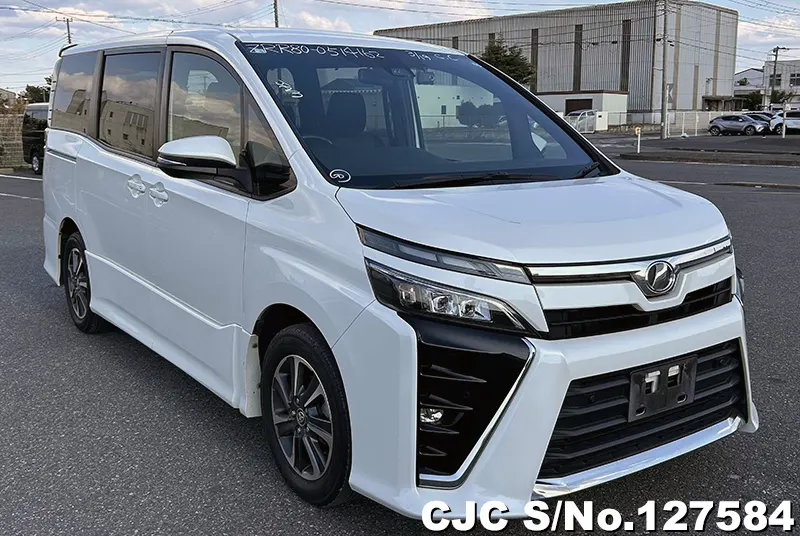 Toyota / Voxy 2019
