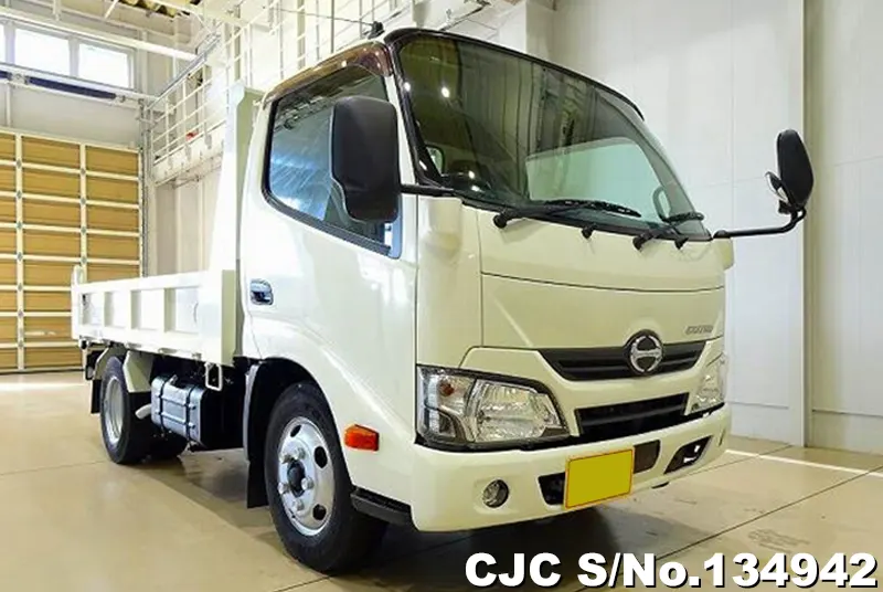 Hino / Dutro 2017