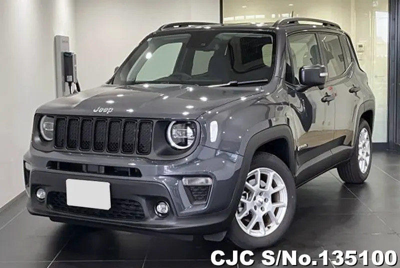Chrysler / Jeep Renegade 2025