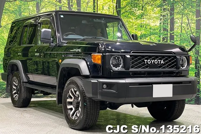 Toyota / Land Cruiser 2024