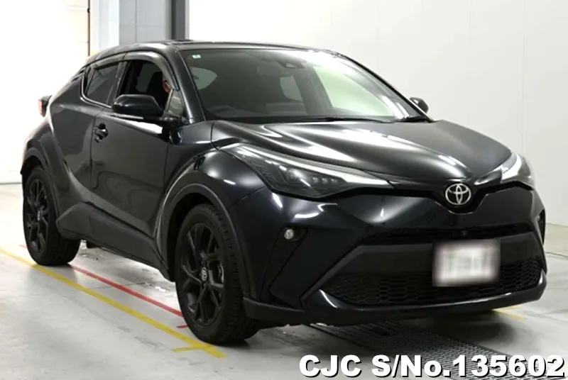 Toyota / C-HR 2022