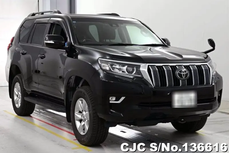 Toyota / Land Cruiser Prado 2020