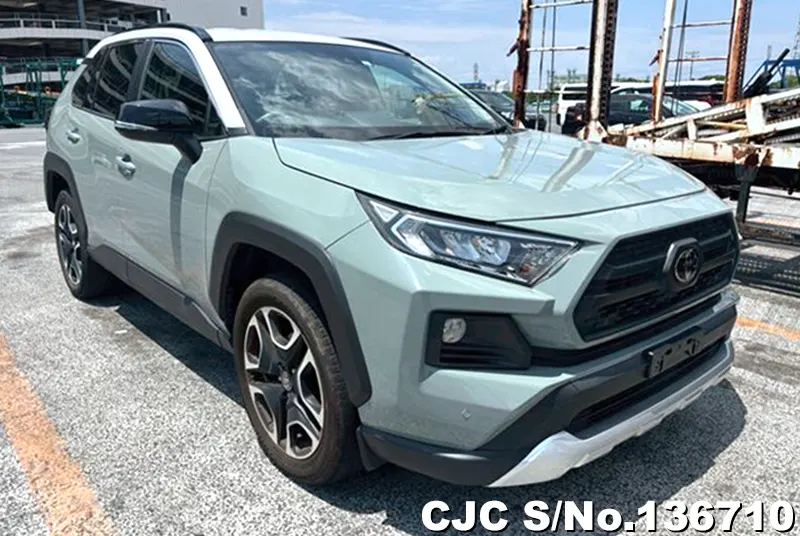 Toyota / Rav4 2019