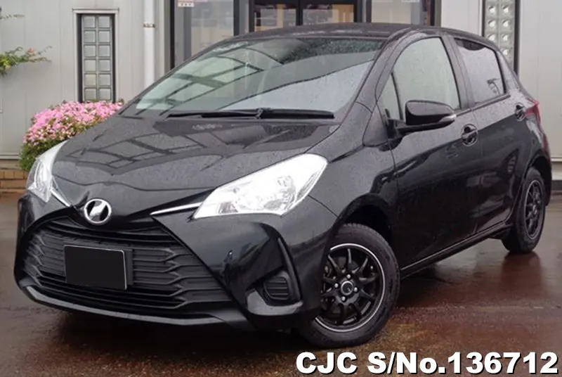 Toyota / Vitz 2019