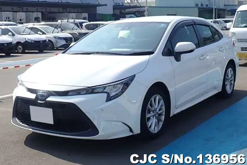 Toyota / Corolla 2021
