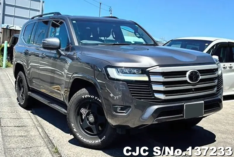 Toyota / Land Cruiser 2024