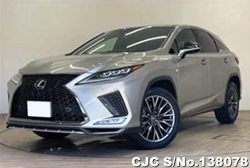 Lexus / RX 300 2020