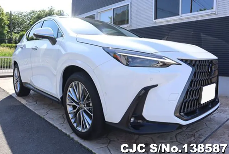 Lexus / NX 350H 2025