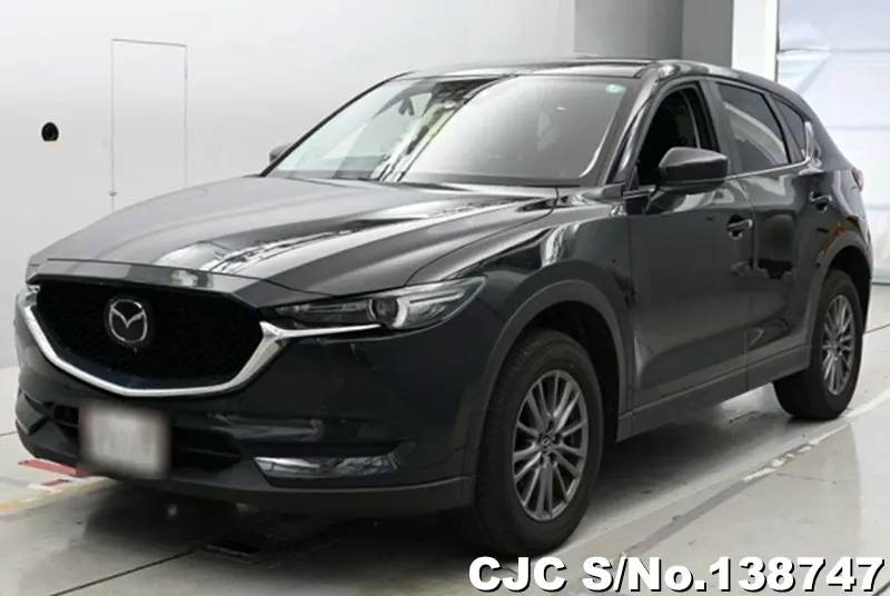 Mazda / CX-5 2019